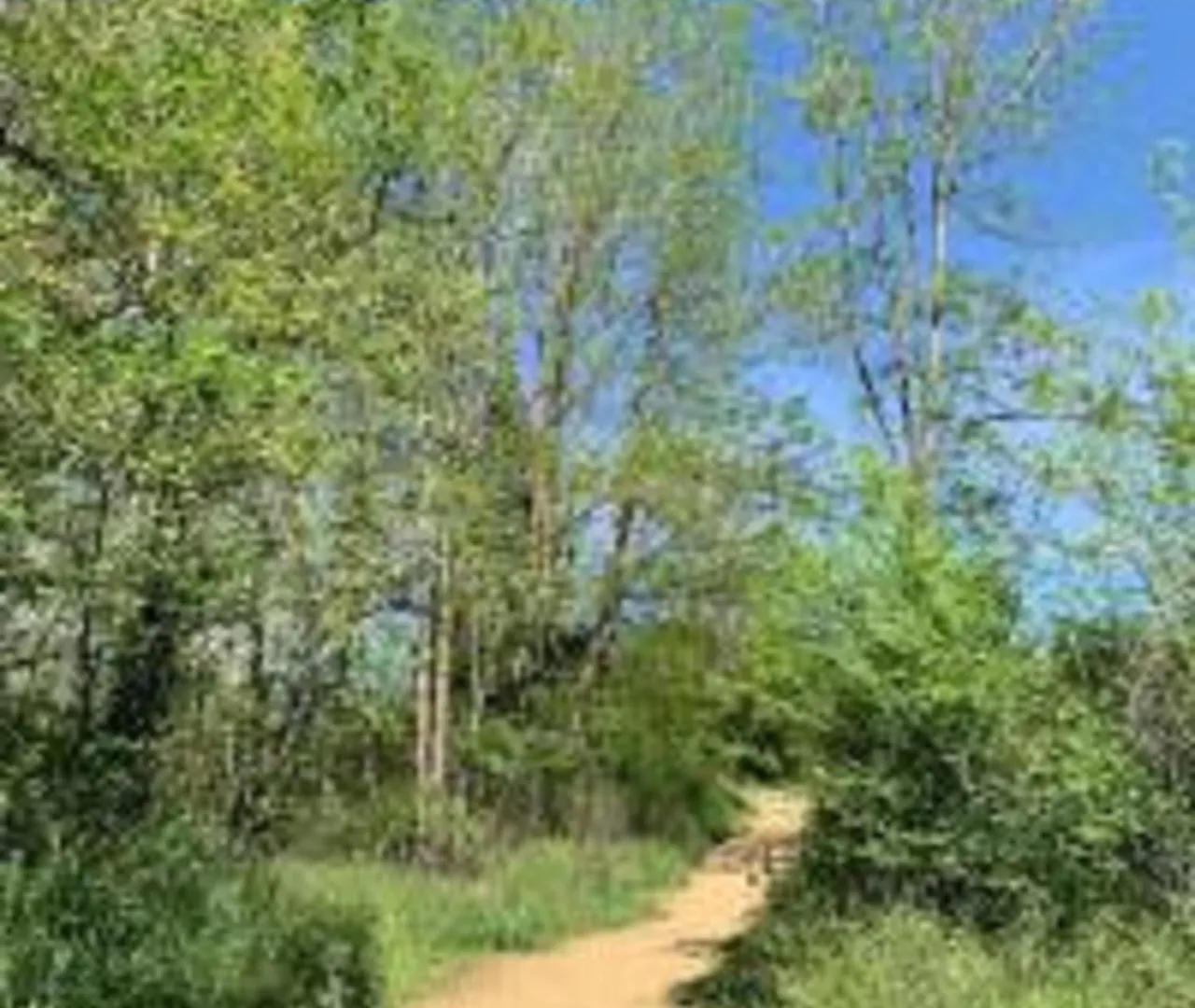 Acogedor Duplex En El Parque Natural Del Montseny. Sant Celoni Apartamento